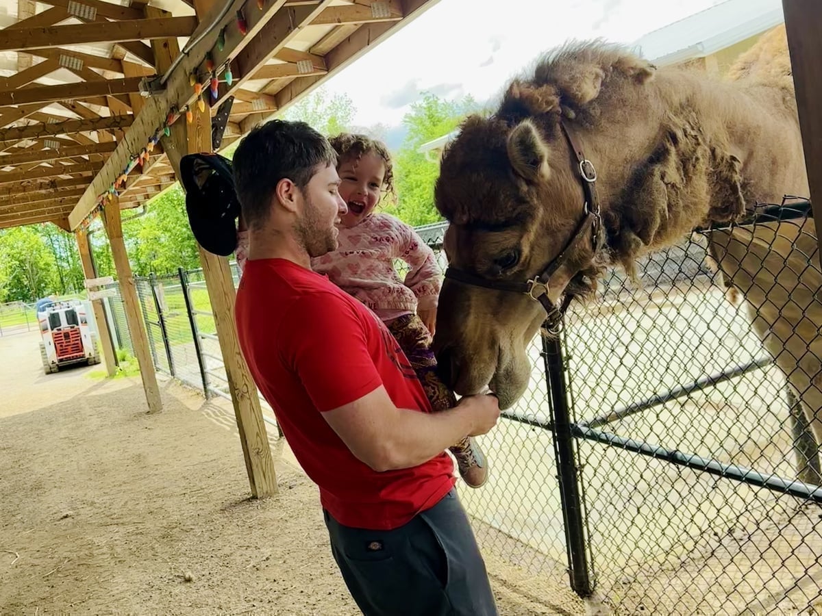 Camel at Majestic Meadows