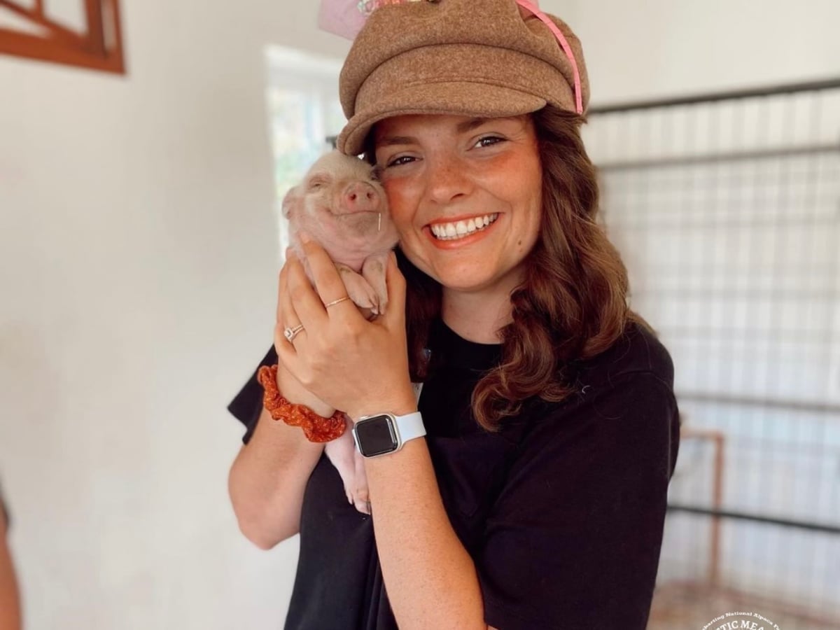 Pig at Majestic Meadows