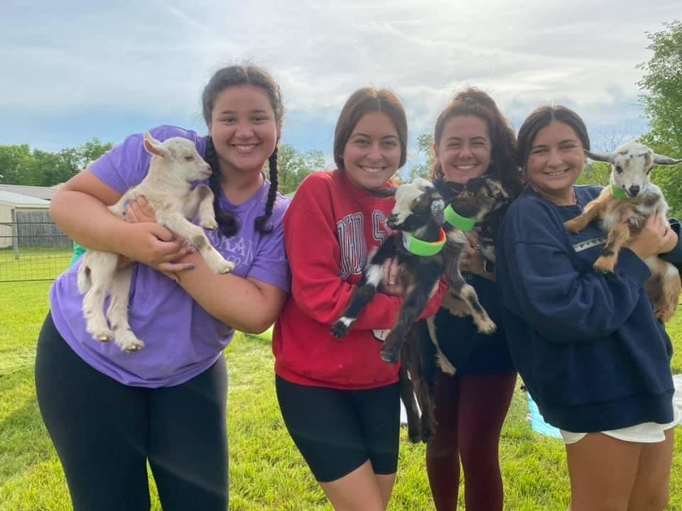 Yoga with goats at Majestic Meadows Alpacas Ohio
